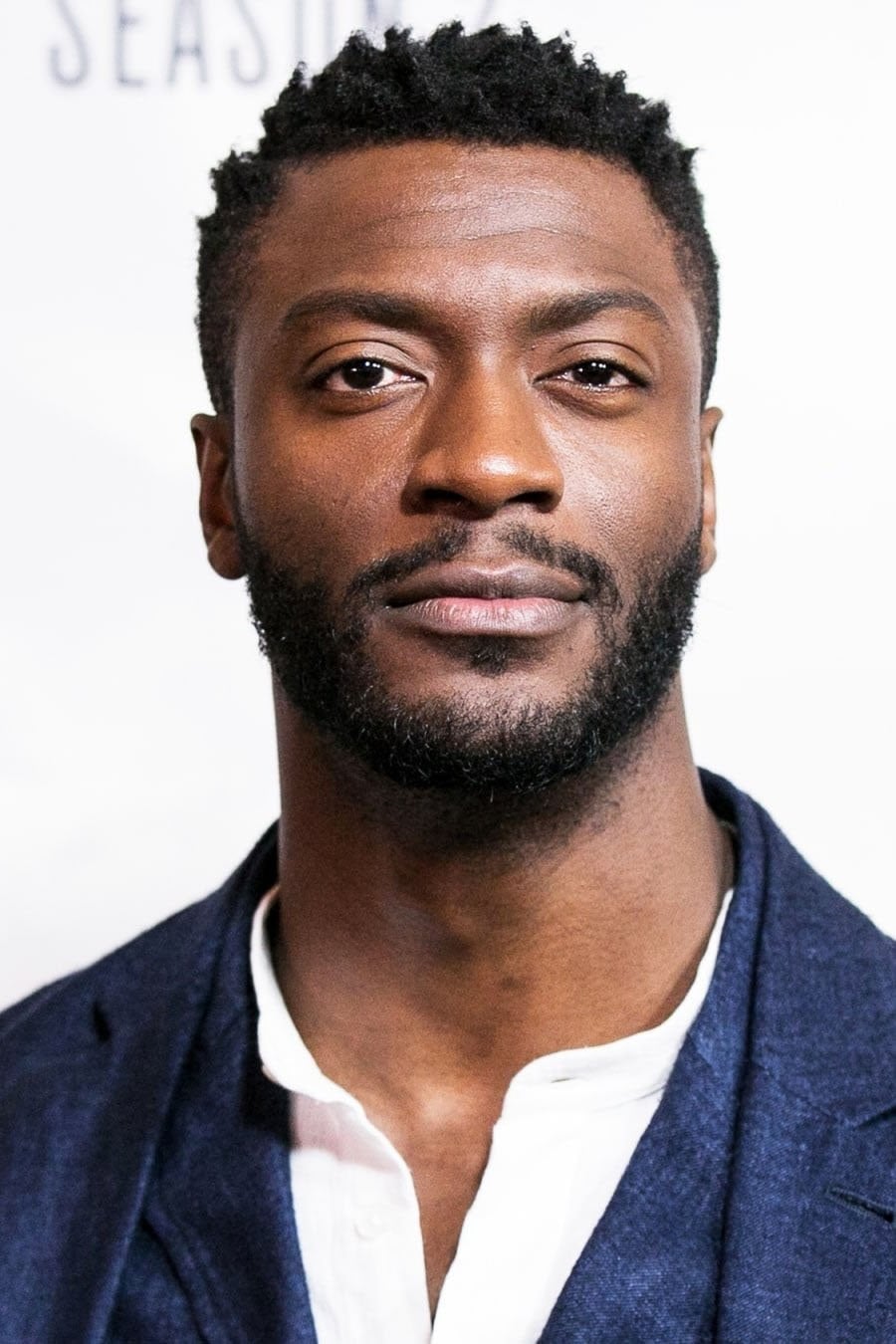 Foto de Aldis Hodge